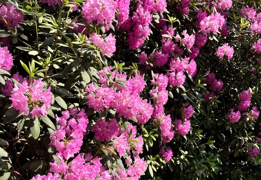 23-06-03 16-50-28 5801